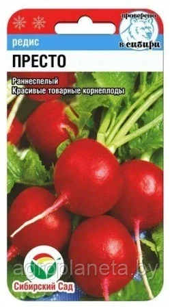 Редис Престо 2г