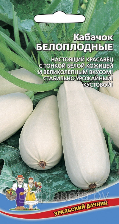 Кабачок БЕЛОПЛОДНЫЙ, 10шт