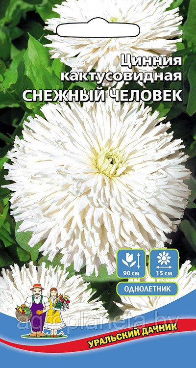 Цинния СНЕЖНЫЙ ЧЕЛОВЕК (кактусовдная), 0,2 г