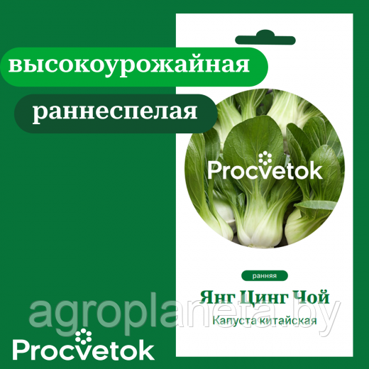 Капуста китайская Янг Цинг Чой 5 шт