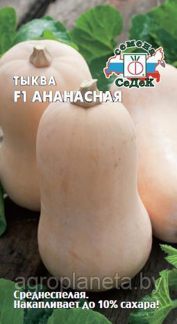Тыква АНАНАСНАЯ F1 (мускатная), 1 г