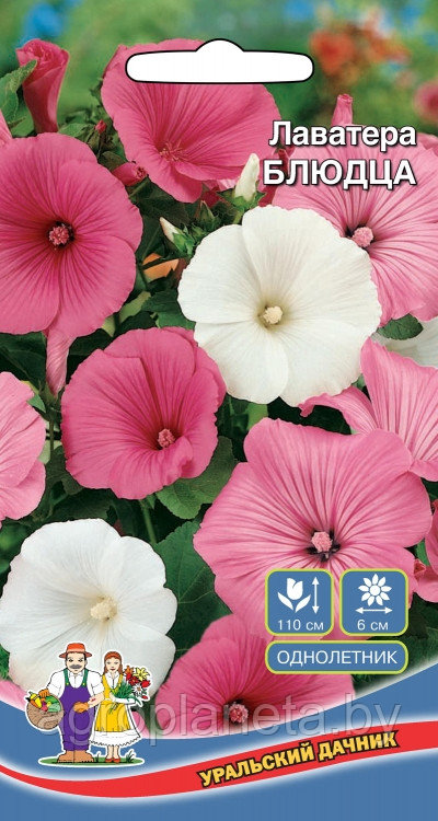 Лаватера БЛЮДЦА, 0.2 г