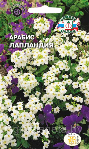 Арабис ЛАПЛАНДИЯ, 0.1г