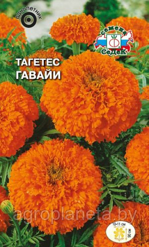 Тагетес ГАВАЙИ, 0.2г