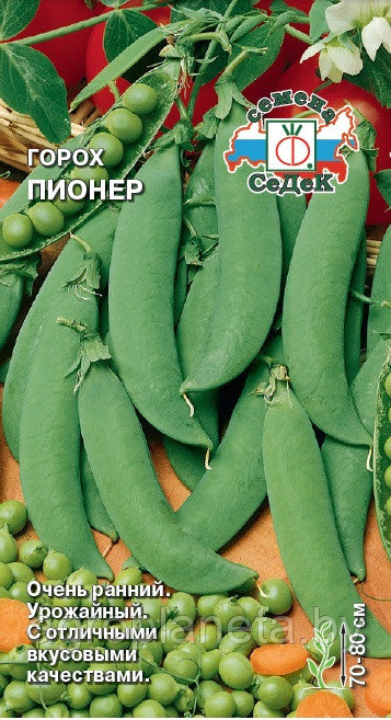 Горох Пионер 8г