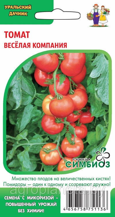 Томат ВЕСЁЛАЯ КОМПАНИЯ (Симбиоз), 20 шт.