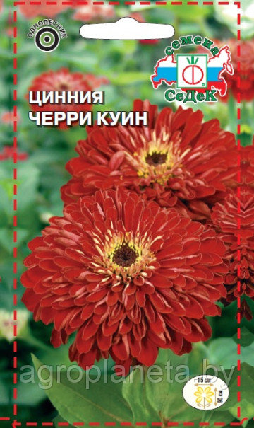 Цинния ЧЕРРИ КУИН, 0.5г