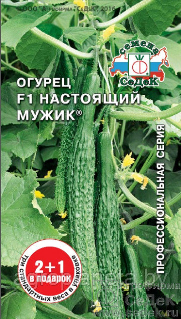 Огурец НАСТОЯЩИЙ МУЖИК F1 (серия "2+1"), 0.6г