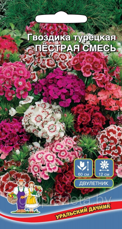 Гвоздика турецкая ПЁСТРАЯ СМЕСЬ, 0,1 г