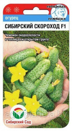 Огурец Сибирский Скороход F1 7 шт