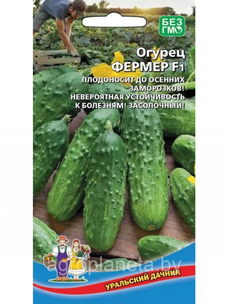 Огурец Фермер F1 10шт