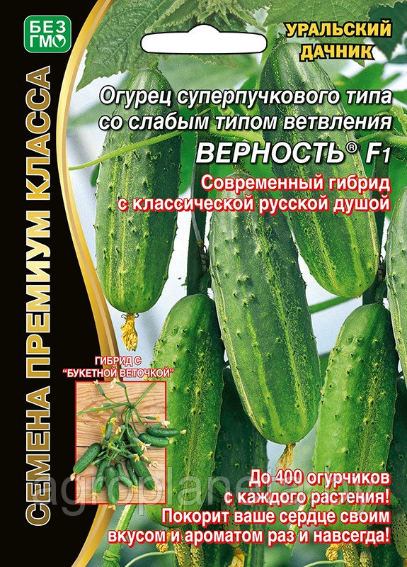 Огурец ВСЕМ НА ЗАВИСТЬ® F1, 5 шт