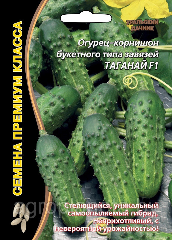 Огурец ТАГАНАЙ F1, 5 шт