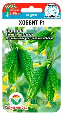 Огурец Хоббит F1 7шт