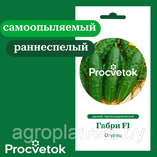 Огурец Габри F1 5 шт
