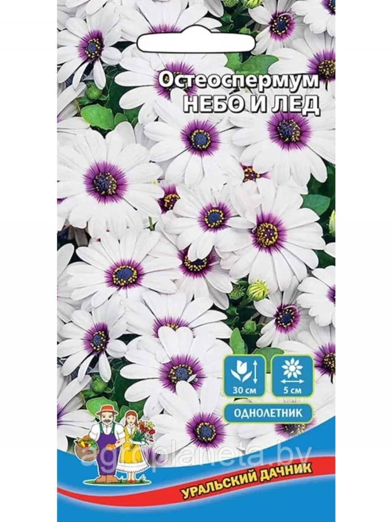 Остеоспермум НЕБО И ЛЁД 0.1 г