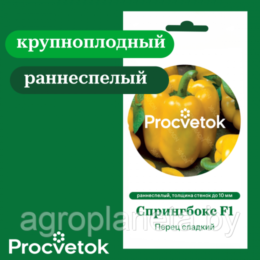 Перец сладкий Спрингбокс F1 5 шт