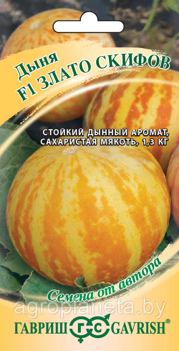 Дыня ЗЛАТО СКИФОВ F1, 15 шт.