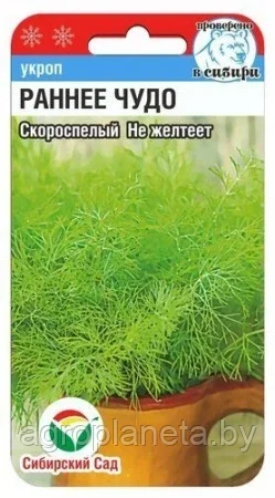 Укроп Раннее чудо 1г