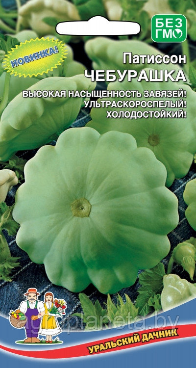 Патиссон ЧЕБУРАШКА, 8 шт.