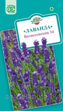 Лаванда ВОЗНЕСЕНСКАЯ 33 (узколистная), 0.05г