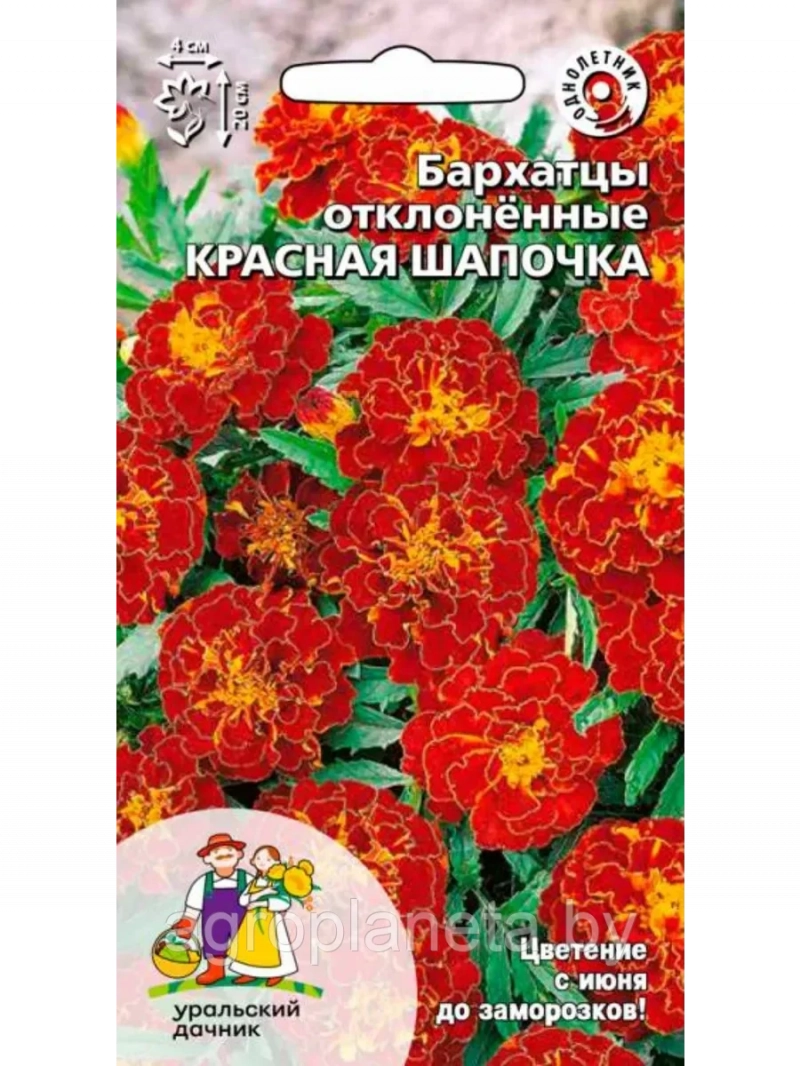 Бархатцы КРАСНАЯ ШАПОЧКА 0.2г