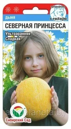 Дыня Северная принцесса 7шт
