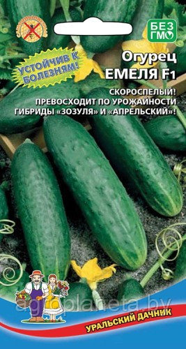 Огурец Емеля F1 10шт