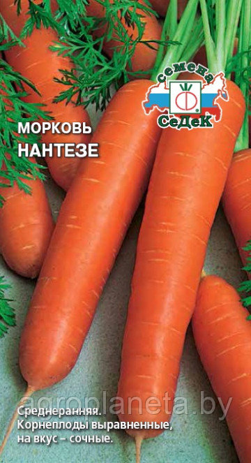 Морковь Нантезе 2г