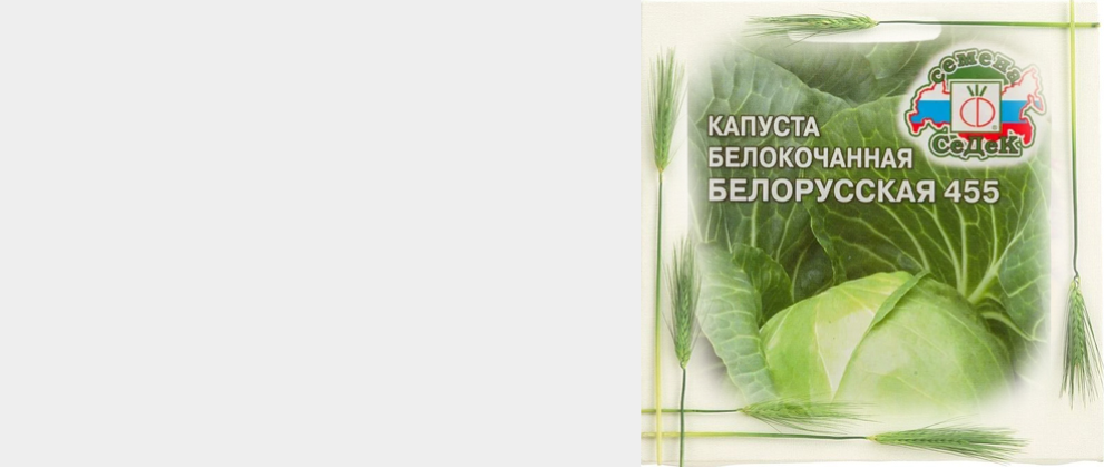 Капуста БЕЛОРУССКАЯ