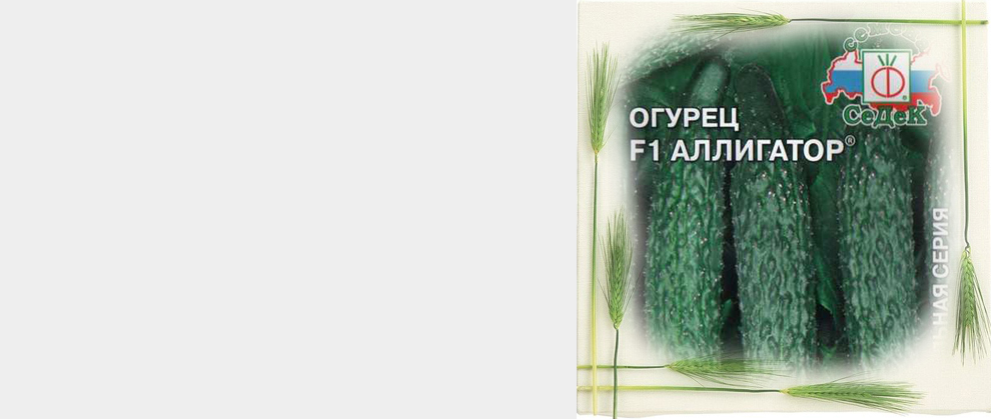 Огурец АЛЛИГАТОР